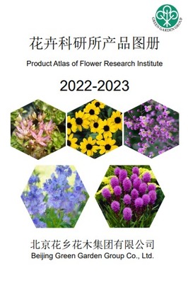 免費制作翻頁電子書、電子畫冊和電子雜志的高效工具推薦